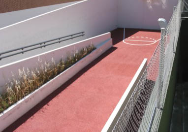 basket